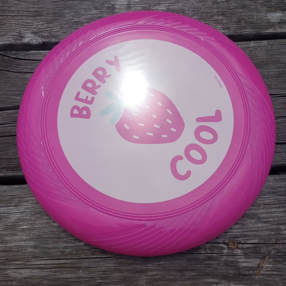 Walmart frisbee toy perfection for all ages 🩷 y'all
